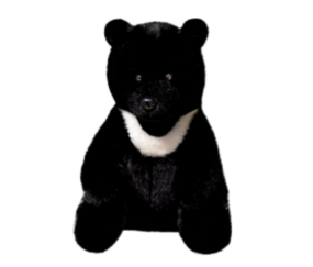 Oso Negro 35CM