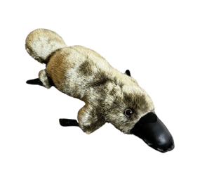 Peluche Ornitorrinco 20CM